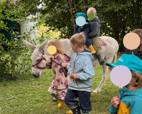 Esel Pudding ist ganz brav